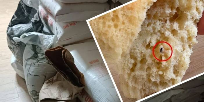 Diyarbakır’da ekmekten böcek çıktığı iddiası