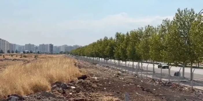Diyarbakır’da milyonlarca liralık Hazine arazisi üçe bölündü