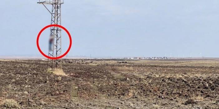 Diyarbakır’da yüksek gerilim direğinde cansız bedeni bulundu