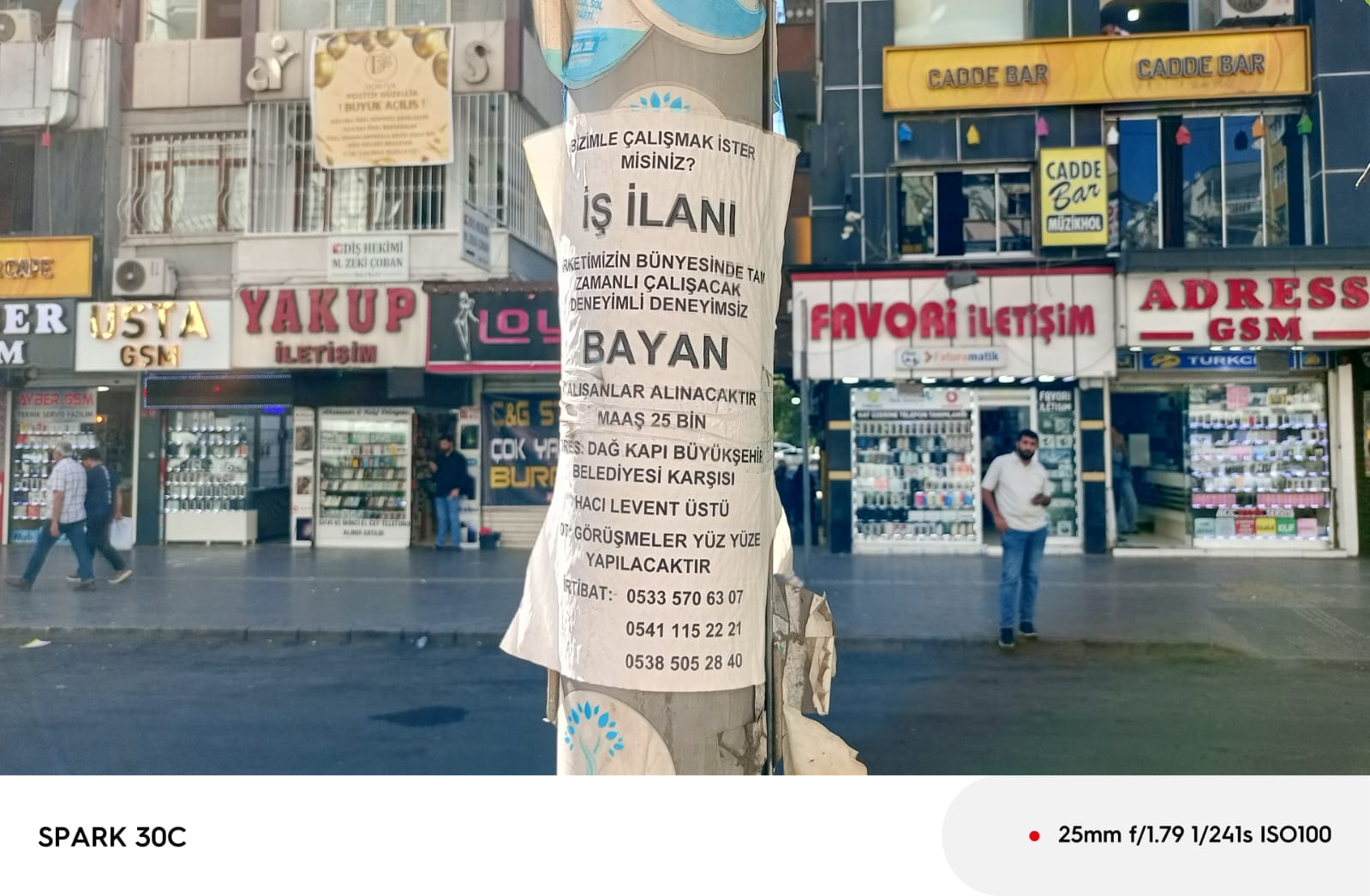 eleman-bayan.jpeg