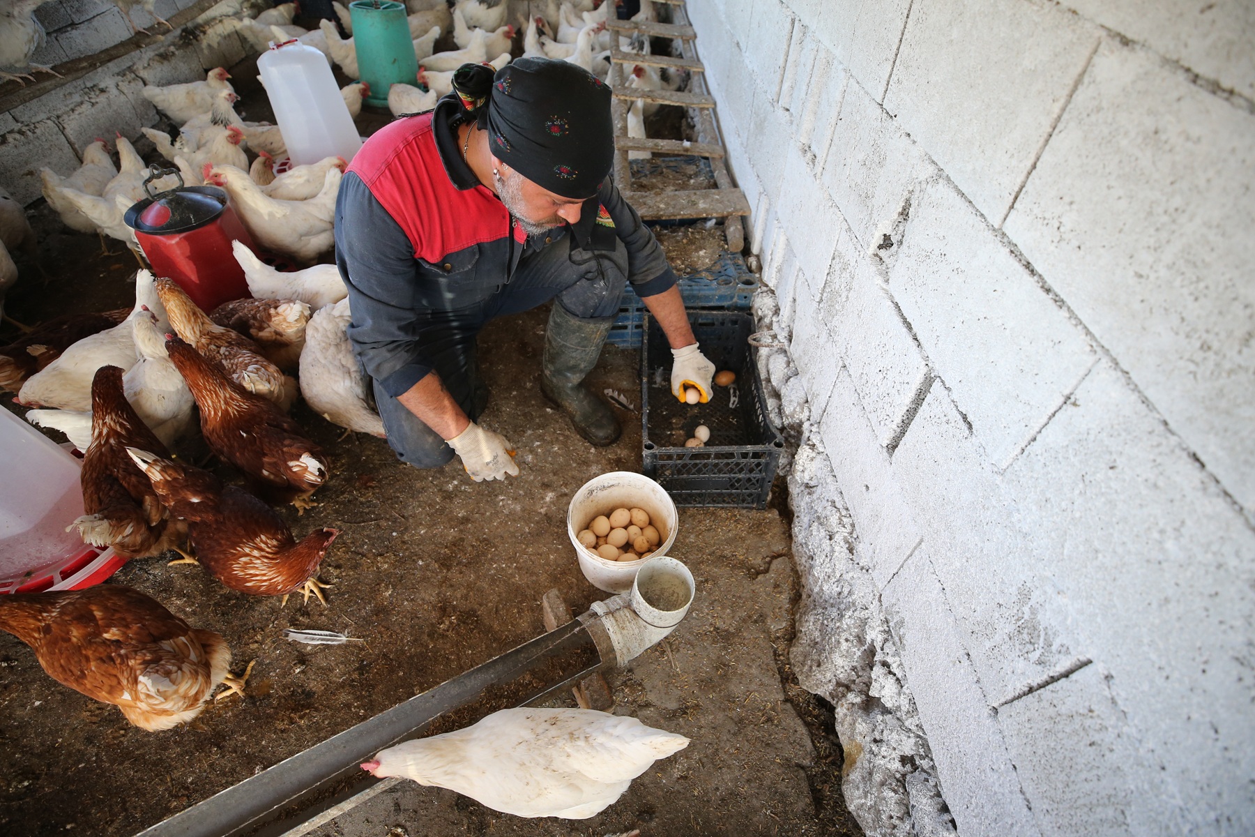 aa-20260611-41639309-41639300-memleketine-donen-muzisyen-hem-cobanlik-hem-bateri-egitmenligi-yapiyor.jpg